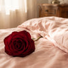 Bloom Explained: What a Rose Toy Is and How It Really Works