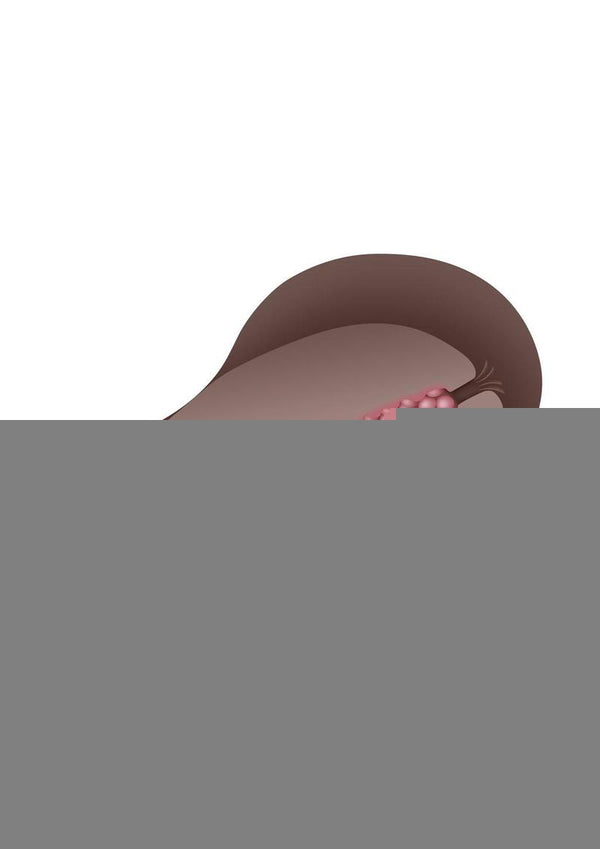 Gender X A Handful Male Anal Masturbator