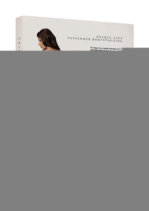 Le Desire Lace Suspender Bodystocking