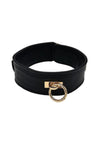 Leather Plain Collar with Gold Accessories - Black/Gold
