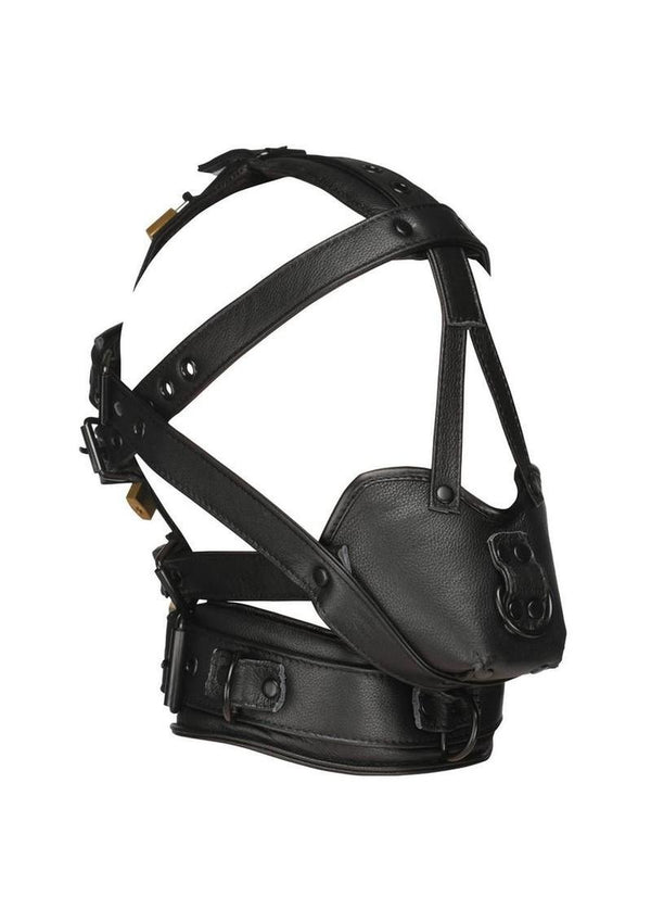 Master Series Lockable Head Harness with Muzzle - Black