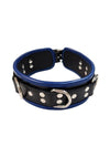 Rouge 5 D Ring Leather Collar - Black/Blue
