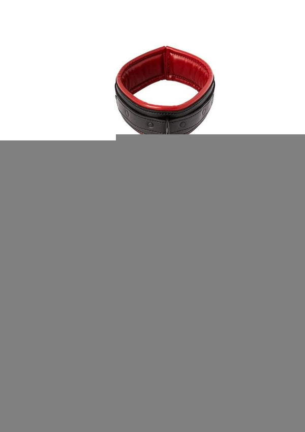 Saffron Collar and Leash