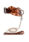 Sincerely Amber Collar and Leash - Animal Print/Gold