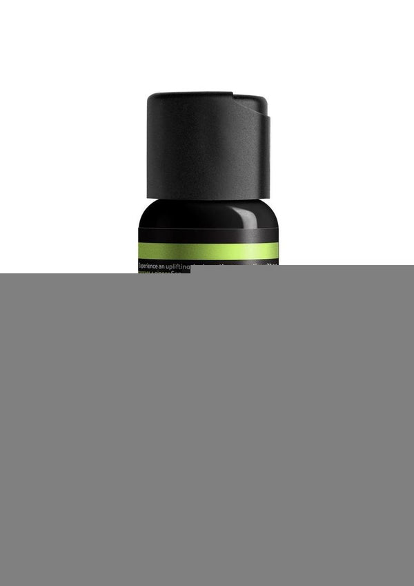 Wicked Sensual Massage Oil 4oz - Lemongrass and Ginger