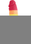 Colours Pride Edition Silicone Dildo - Multicolor/Rainbow - 6in