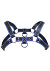 Master Series Bulldog Harness - Blue