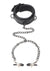 Master Series Collared Temptress Collar with Nipple Clamps - Black