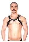 Prowler Red Bull Harness - Black - Small