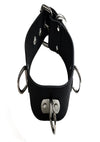 Rouge Rubber Adjustable 3 D-Ring Coller