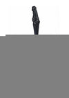 S-Line The Dickheads Groom Straws - Black