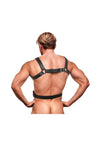 Strict 6 O-Ring Chest Harness