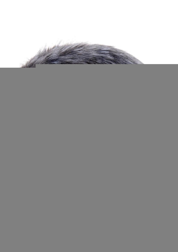 Tailz Vibrating Rechargeable Silicone Anal Plug and 3 Tails with Remote Control - Assorted Colors/Multicolor - Set