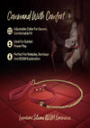Temptasia Ardor Collar and Leash