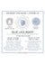Warm Human Blue Lace Agate - Blue